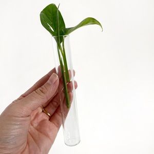 Minimalist Propagation Station Vintage Glass Test Tube Planter Plant